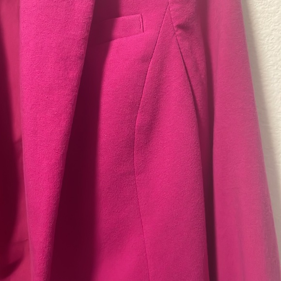 A Pink Blazer by The Limited! - Picture 9 of 16